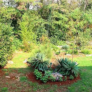 Jelena Apartament Poreč